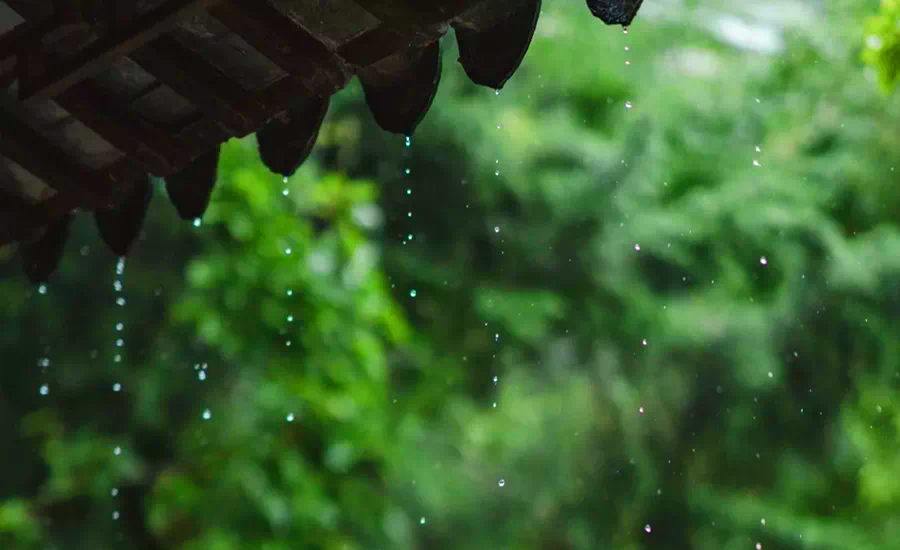 清明正是禁食日