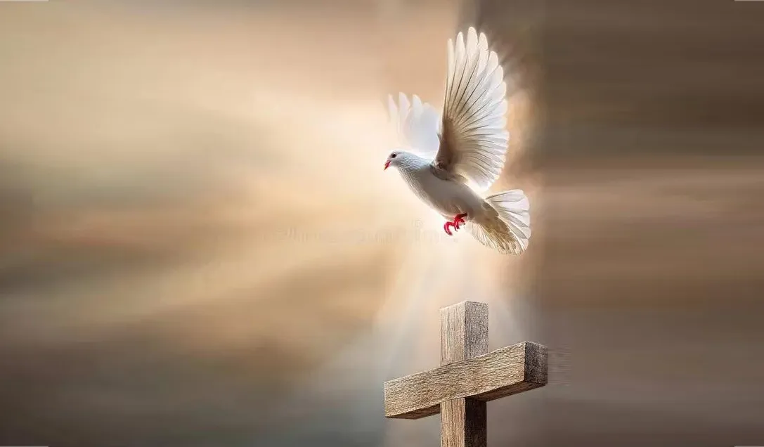 成为和平使者 (太 18:15-16)