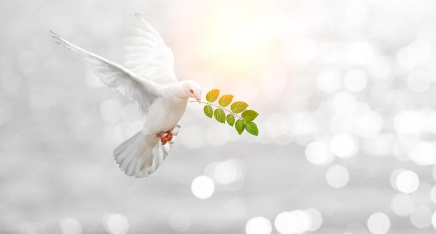 圣灵显在各人身上(林前12:1-11)