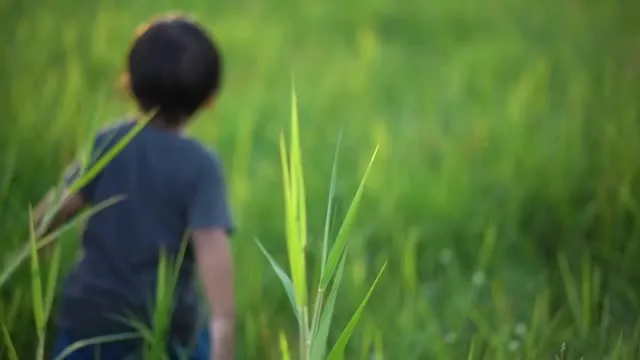 以善胜恶(箴25:21-22)