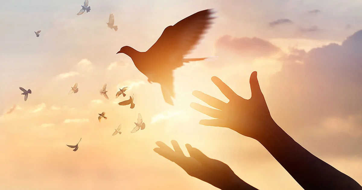 谁是和平之子 (箴17:1－10)