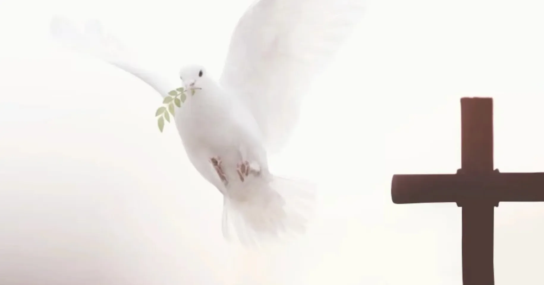 不与恶人同居的神？(赛13:1-22)